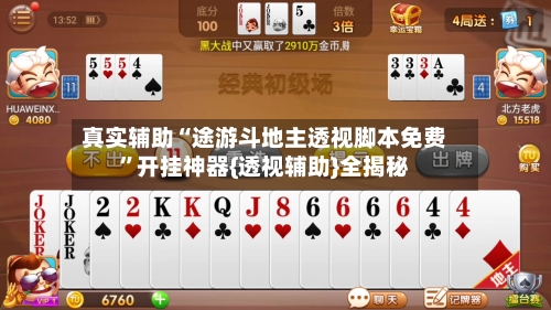 真实辅助“途游斗地主透视脚本免费”开挂神器{透视辅助}全揭秘-第2张图片