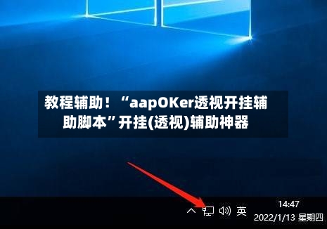 教程辅助！“aapOKer透视开挂辅助脚本”开挂(透视)辅助神器-第3张图片