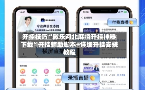开挂技巧“微乐河北麻将开挂神器下载”开挂辅助脚本+详细开挂安装教程