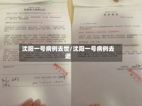 沈阳一号病例去世/沈阳一号病例去逝-第2张图片