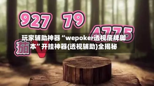 玩家辅助神器“wepoker透视底牌脚本	”开挂神器{透视辅助}全揭秘-第2张图片