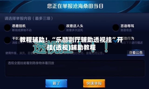 教程辅助！“乐酷副厅辅助透视挂”开挂(透视)辅助教程-第3张图片