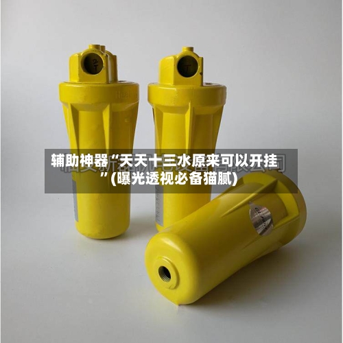 辅助神器“天天十三水原来可以开挂”(曝光透视必备猫腻)-第2张图片