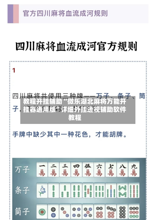 教程开挂辅助“微乐湖北麻将万能开挂器通用版”详细外挂透视辅助软件教程-第3张图片
