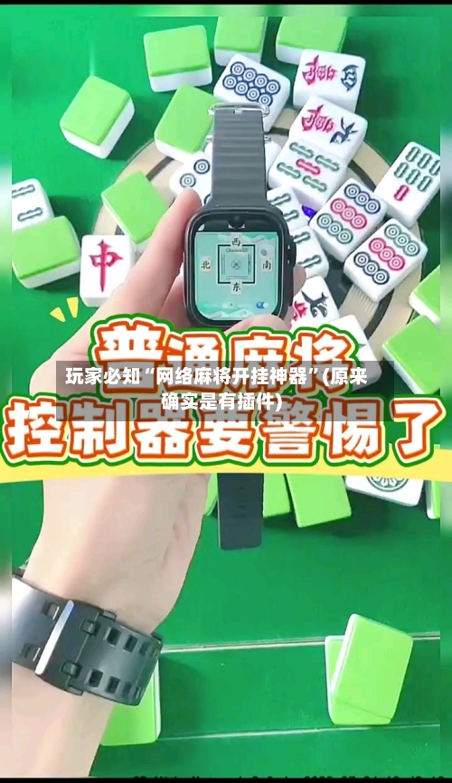 玩家必知“网络麻将开挂神器”(原来确实是有插件)-第3张图片