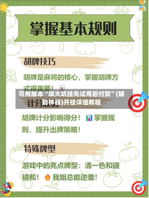 可用版本“填大坑挂先试用后付款”(辅助神器)开挂详细教程-第3张图片