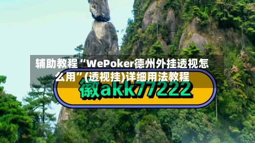 辅助教程“WePoker德州外挂透视怎么用”(透视挂)详细用法教程-第2张图片