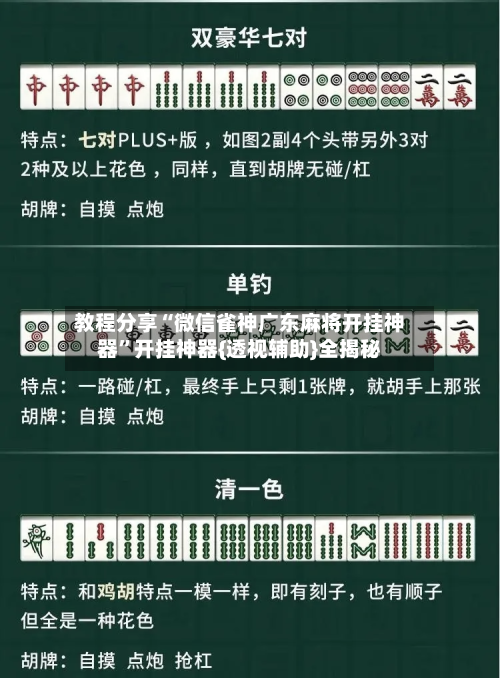 教程分享“微信雀神广东麻将开挂神器”开挂神器{透视辅助}全揭秘-第2张图片