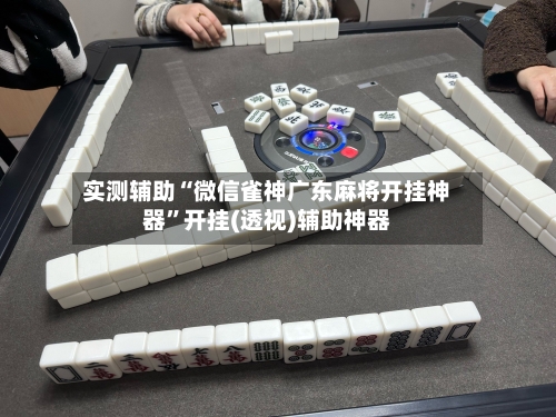 实测辅助“微信雀神广东麻将开挂神器”开挂(透视)辅助神器-第2张图片