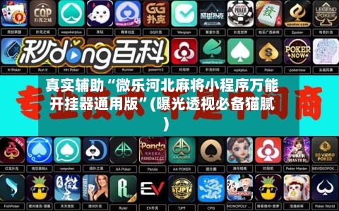 真实辅助“微乐河北麻将小程序万能开挂器通用版”(曝光透视必备猫腻)-第3张图片