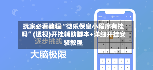 玩家必看教程“微乐保皇小程序有挂吗”(透视)开挂辅助脚本+详细开挂安装教程