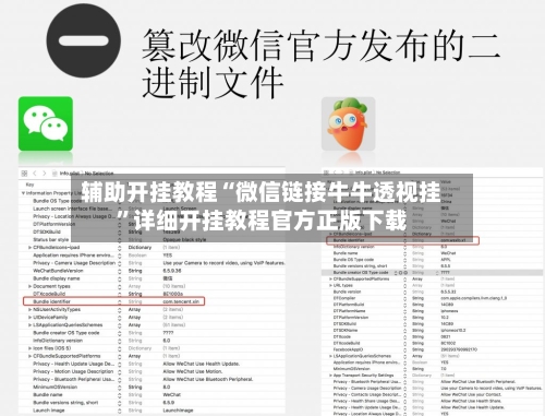 辅助开挂教程“微信链接牛牛透视挂”详细开挂教程官方正版下载-第2张图片