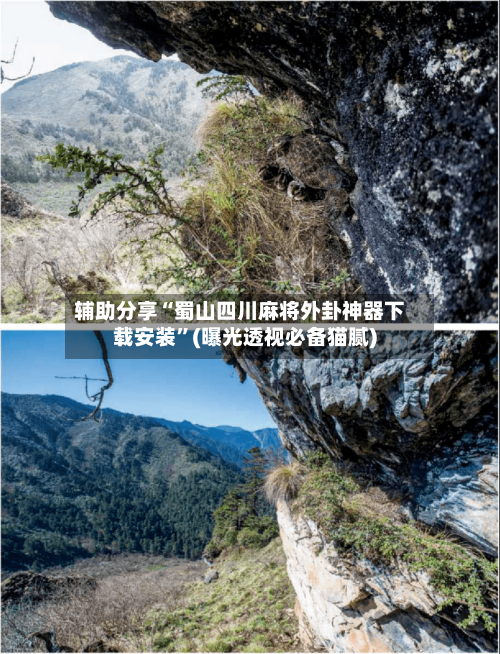 辅助分享“蜀山四川麻将外卦神器下载安装”(曝光透视必备猫腻)