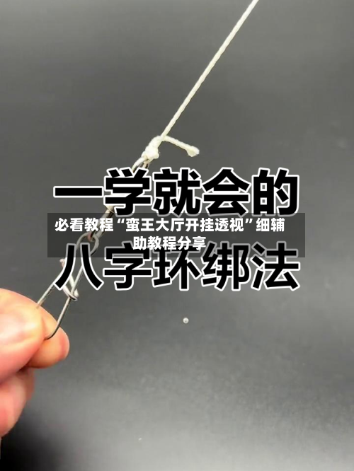 必看教程“蛮王大厅开挂透视”细辅助教程分享