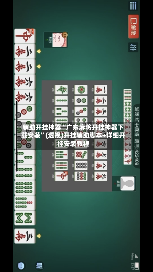 辅助开挂神器“广东麻将开挂神器下载安装”(透视)开挂辅助脚本+详细开挂安装教程-第2张图片