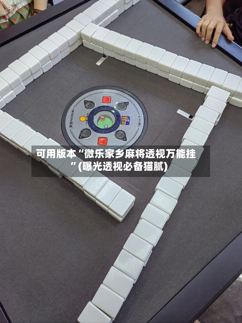可用版本“微乐家乡麻将透视万能挂	”(曝光透视必备猫腻)-第2张图片