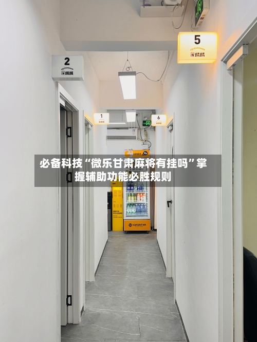 必备科技“微乐甘肃麻将有挂吗”掌握辅助功能必胜规则-第2张图片