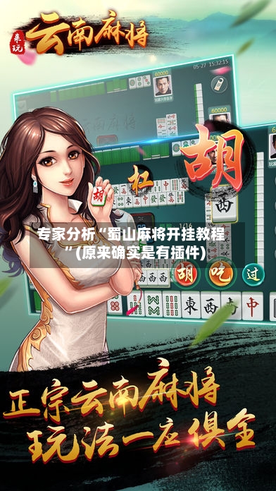 专家分析“蜀山麻将开挂教程”(原来确实是有插件)-第2张图片