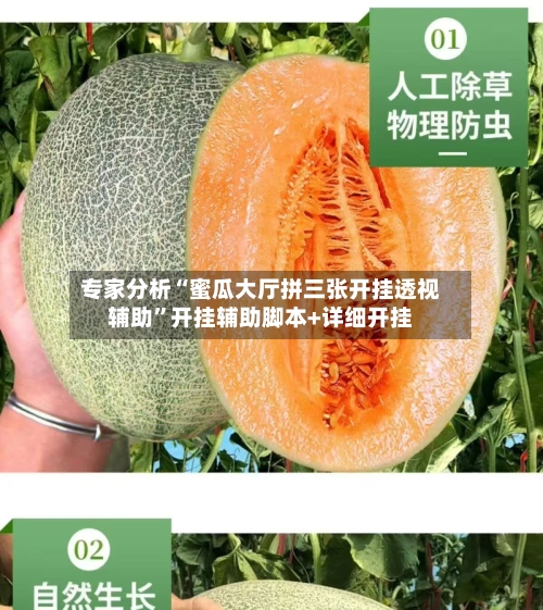 专家分析“蜜瓜大厅拼三张开挂透视辅助”开挂辅助脚本+详细开挂-第2张图片