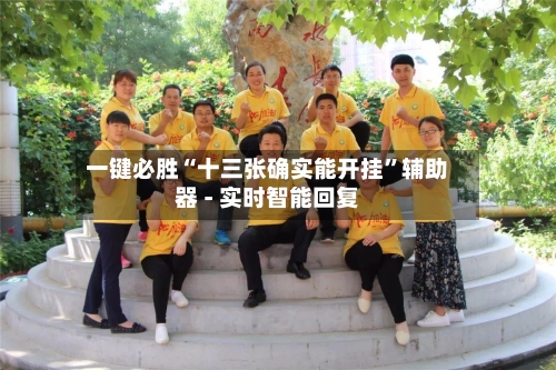 一键必胜“十三张确实能开挂”辅助器 - 实时智能回复-第3张图片