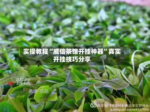 实操教程“威信茶馆开挂神器	”真实开挂技巧分享-第3张图片