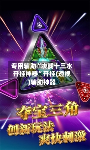 专用辅助“决战十三水开挂神器”开挂(透视)辅助神器-第2张图片