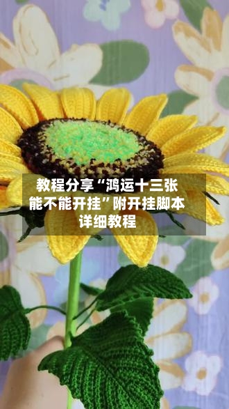 教程分享“鸿运十三张能不能开挂”附开挂脚本详细教程-第2张图片