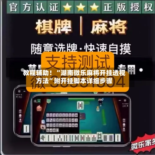 教程辅助！“湖南微乐麻将开挂透视方法”附开挂脚本详细步骤-第2张图片