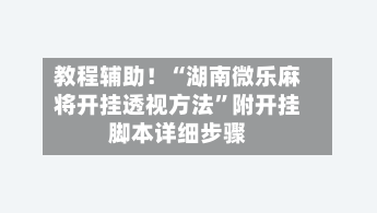 教程辅助！“湖南微乐麻将开挂透视方法	”附开挂脚本详细步骤-第3张图片