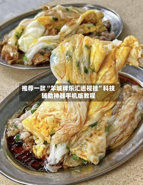 推荐一款“羊城牌乐汇透视挂”科技辅助神器手机版教程-第3张图片