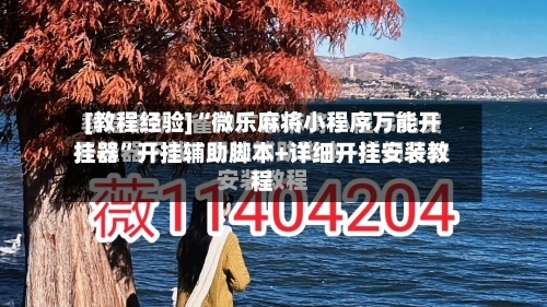 [教程经验]“微乐麻将小程序万能开挂器	”开挂辅助脚本+详细开挂安装教程-第2张图片