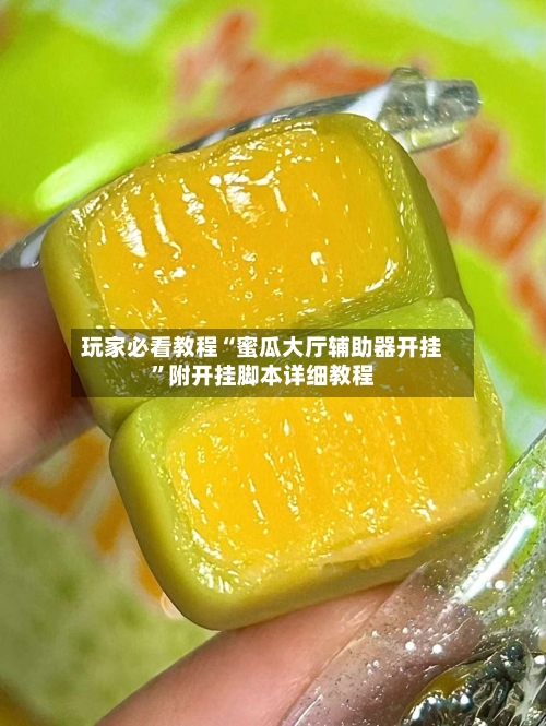 玩家必看教程“蜜瓜大厅辅助器开挂”附开挂脚本详细教程-第2张图片