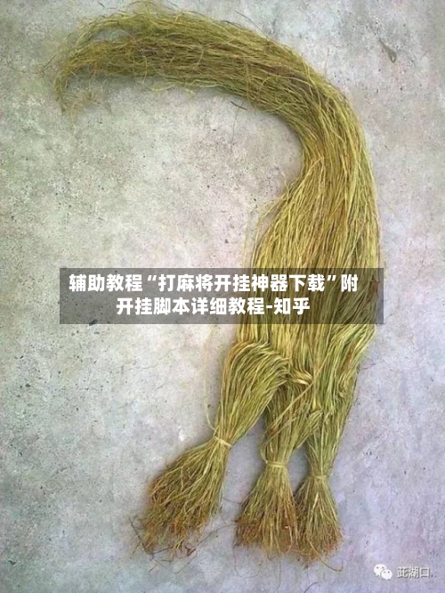 辅助教程“打麻将开挂神器下载”附开挂脚本详细教程-知乎-第2张图片