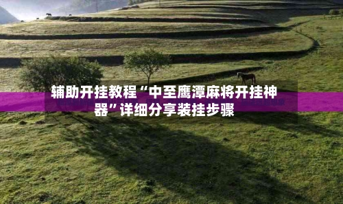 辅助开挂教程“中至鹰潭麻将开挂神器	”详细分享装挂步骤-第3张图片