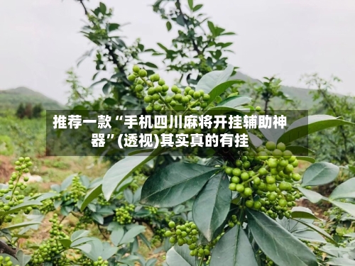 推荐一款“手机四川麻将开挂辅助神器”(透视)其实真的有挂-第3张图片