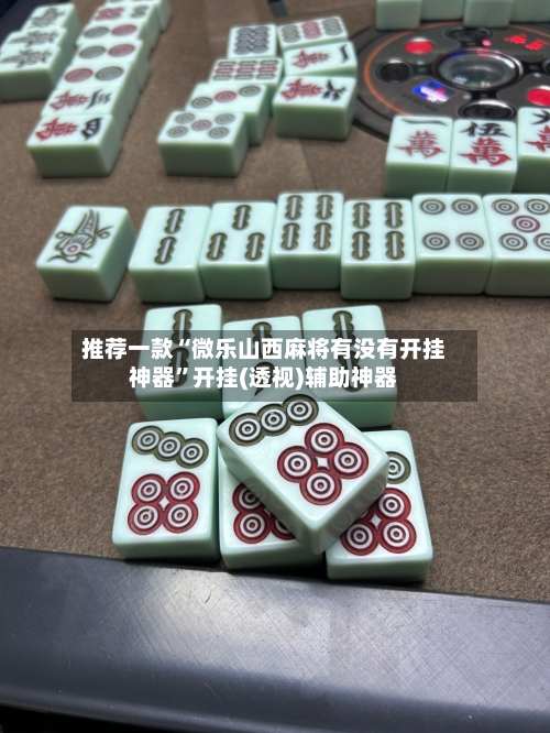 推荐一款“微乐山西麻将有没有开挂神器”开挂(透视)辅助神器-第3张图片