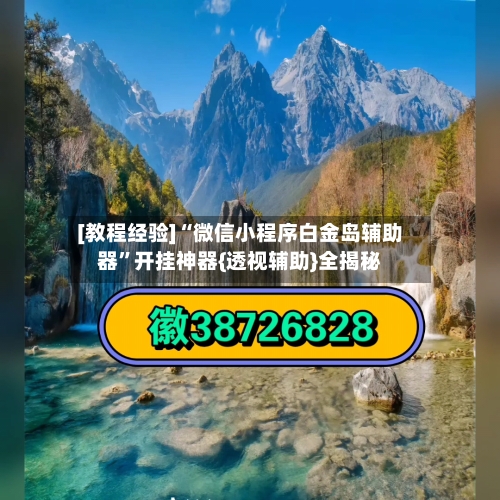 [教程经验]“微信小程序白金岛辅助器”开挂神器{透视辅助}全揭秘-第3张图片
