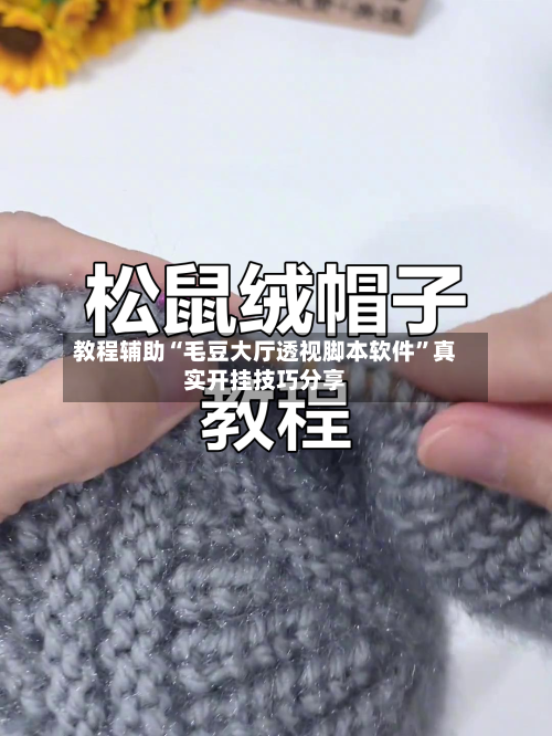 教程辅助“毛豆大厅透视脚本软件	”真实开挂技巧分享-第2张图片