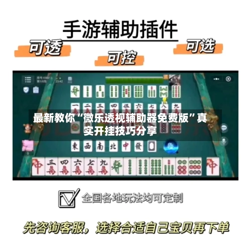 最新教你“微乐透视辅助器免费版”真实开挂技巧分享-第3张图片