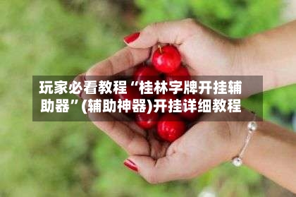 玩家必看教程“桂林字牌开挂辅助器”(辅助神器)开挂详细教程-第2张图片