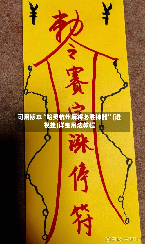 可用版本“哈灵杭州麻将必胜神器”(透视挂)详细用法教程-第3张图片