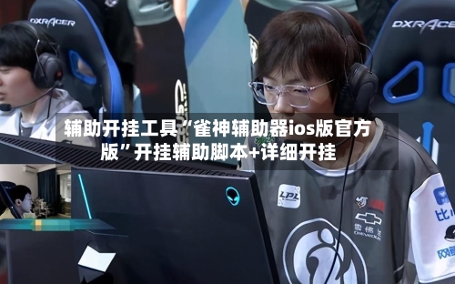 辅助开挂工具“雀神辅助器ios版官方版”开挂辅助脚本+详细开挂-第3张图片