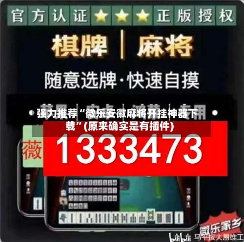 强力推荐“微乐安徽麻将开挂神器下载”(原来确实是有插件)-第2张图片