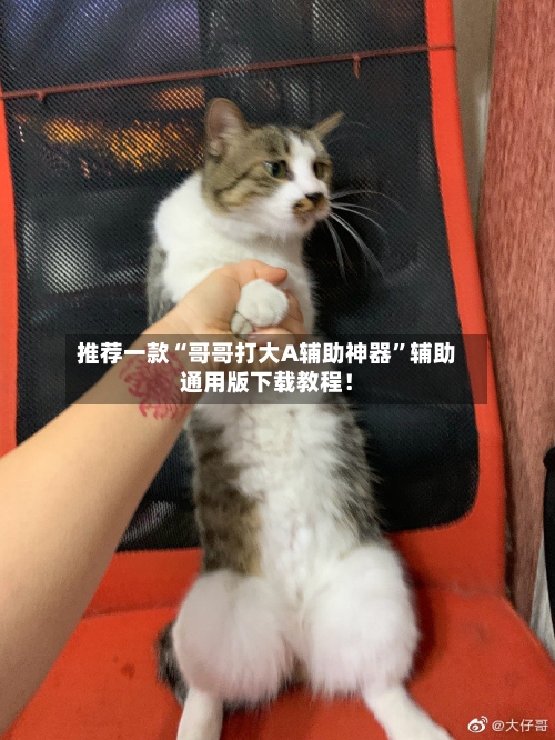 推荐一款“哥哥打大A辅助神器”辅助通用版下载教程！-第3张图片