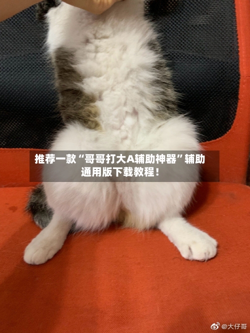 推荐一款“哥哥打大A辅助神器”辅助通用版下载教程！-第2张图片