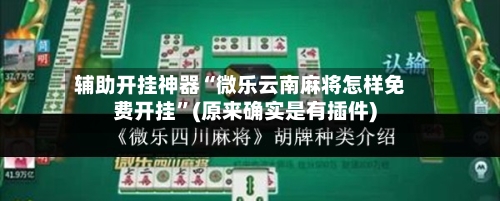 辅助开挂神器“微乐云南麻将怎样免费开挂”(原来确实是有插件)