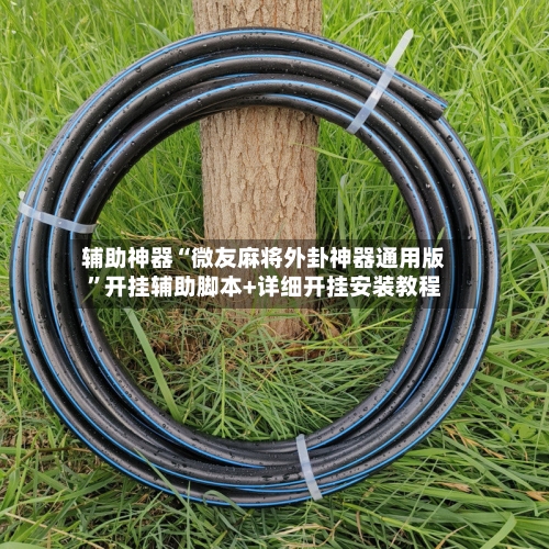 辅助神器“微友麻将外卦神器通用版”开挂辅助脚本+详细开挂安装教程-第3张图片