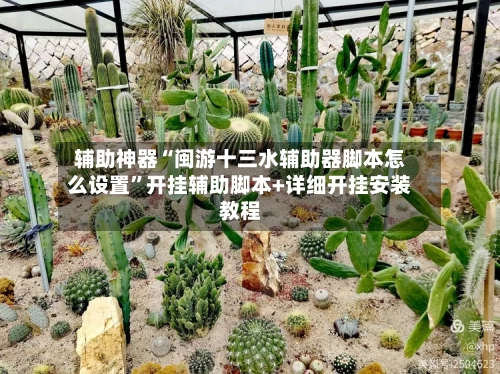 辅助神器“闽游十三水辅助器脚本怎么设置”开挂辅助脚本+详细开挂安装教程-第3张图片