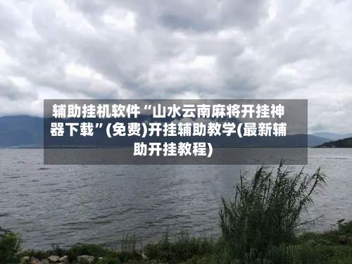 辅助挂机软件“山水云南麻将开挂神器下载”(免费)开挂辅助教学(最新辅助开挂教程)-第3张图片