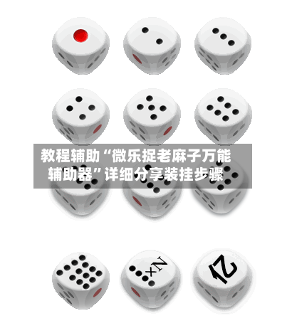 教程辅助“微乐捉老麻子万能辅助器”详细分享装挂步骤-第2张图片